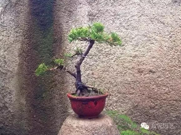 足球赌注软件APP