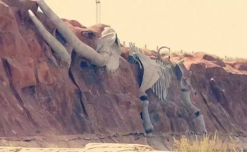 十大足球赌注软件排行榜|征途在脚下 扬帆正当时(图1) 足球赌注软件