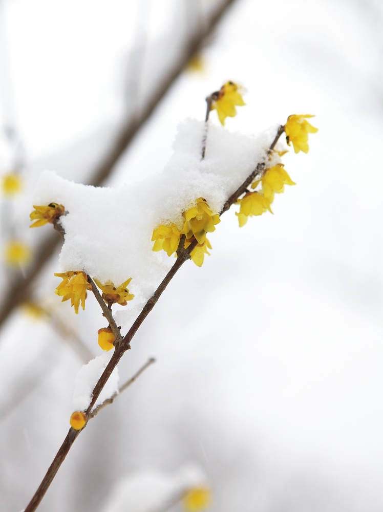 十大足球赌注软件