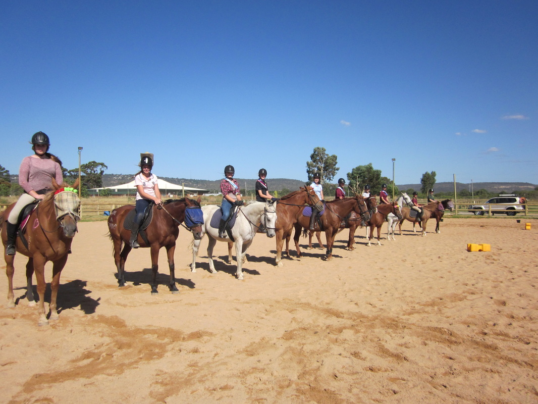 十大足球赌注软件排行榜