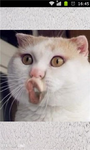 足球赌注软件APP