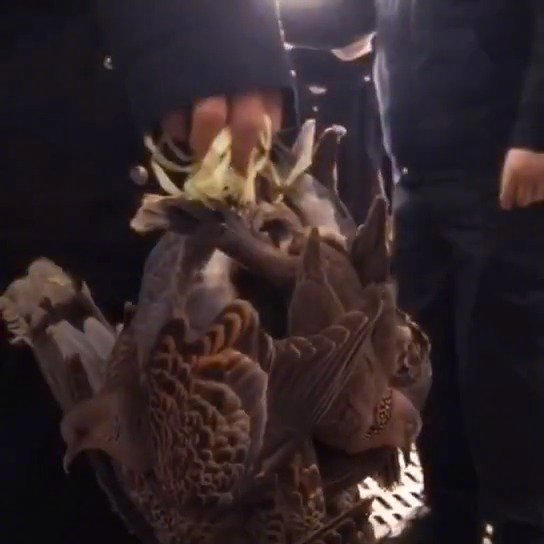 “足球赌注软件APP”台军黑鹰直升机坠毁致8名官兵死亡 失事原因公布(图2) 十大足球赌注软件