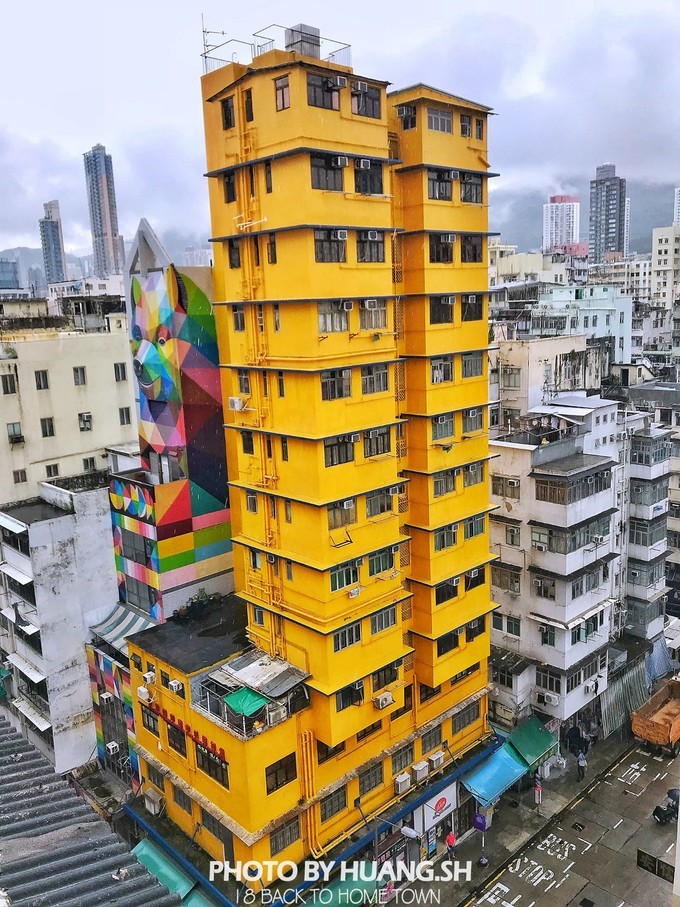 足球赌注软件APP