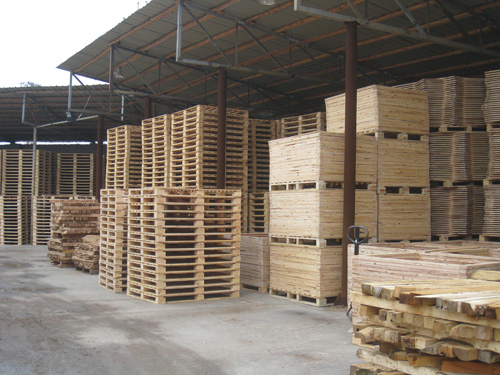 足球赌注软件APP