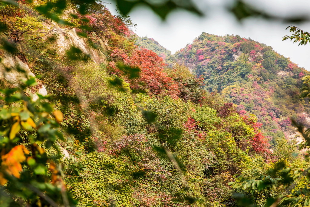 十大足球赌注软件