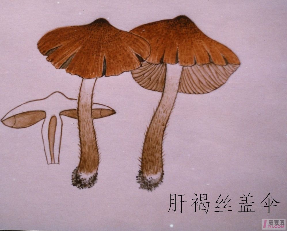 足球赌注软件:《军队安全管理条例》发布 明年1月1日起施行(图1) 十大足球赌注软件