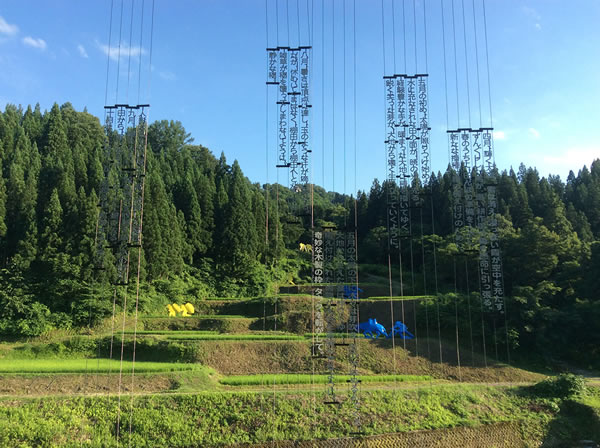 十大足球赌注软件