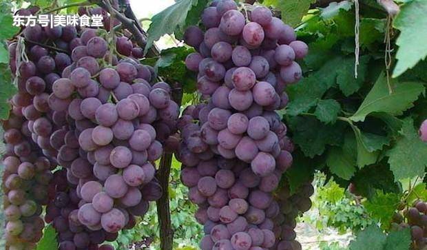 印度月船2号登月失联莫迪鼓励科学家：生活中有起起伏伏‘足球赌注软件APP’