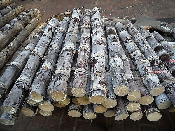 十大足球赌注软件排行榜